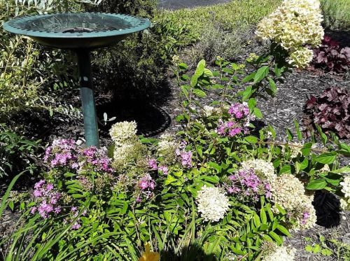 20 Scotchtown Pl, Middletown NY  10941-1434 exterior