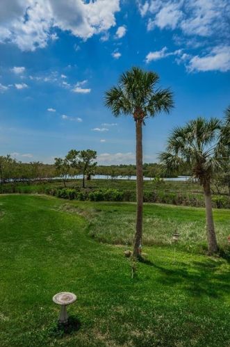 1025 Pointe Alexis Dr, Tarpon Springs FL  34689-7105 exterior