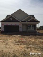1236 Purple Martin Dr, Effingham SC  29541-4945 exterior