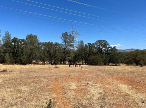 6321 Upper Palermo Rd, Oroville CA  95966-9017 exterior