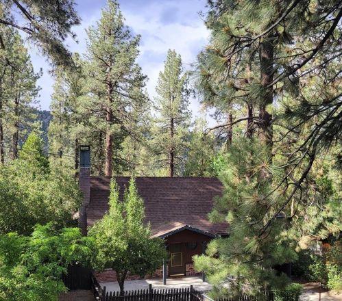 1650 Linnet Rd, Wrightwood, CA 92397-9509