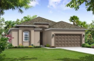 850 Vino Verde Cir, Brandon, FL 33511