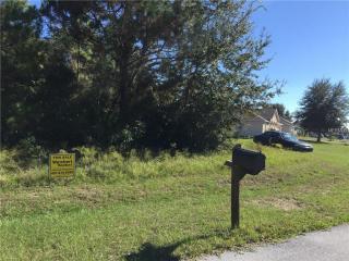 309 Shad Way, Kissimmee, FL 34759-4730