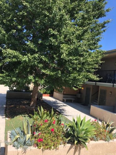 14919 Normandie Ave, Gardena CA  90247-2942 exterior