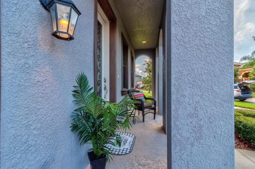 8239 Swiss Chard Cir, Land O Lakes FL  34637-7662 exterior