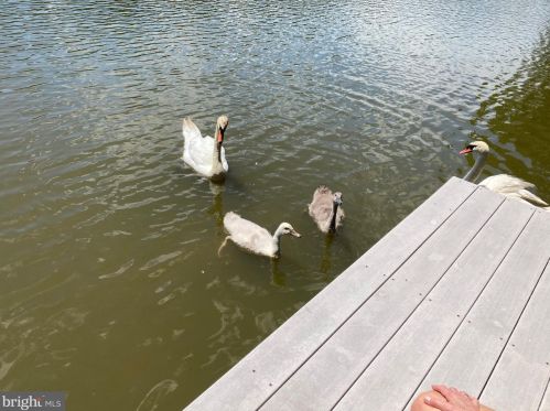 61 Lakeview Dr, Pilesgrove NJ 08098-2081 exterior