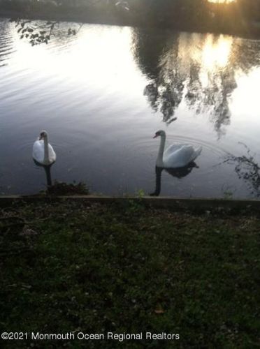 323 Lk Shr Dr, Bricktown NJ 08723-6013 exterior