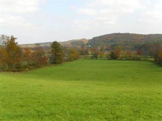 2715 State Route 17b, Cochecton, NY 12726-5446