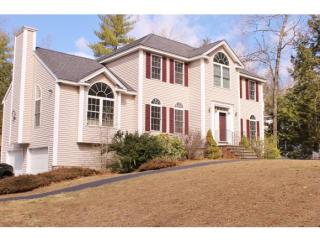 53 Lollypop Ln, Danville, NH 03819-5129