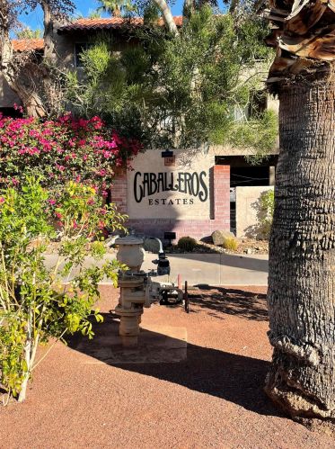 280 Avenida Caballeros, Palm Springs CA  92262-6780 exterior