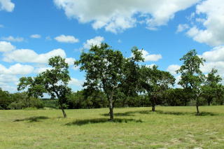 400 Cypress Estates Pkwy, Ingram, TX 78025-4404