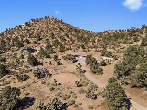 2676 Mustang Ln, Wrightwood CA  92397 exterior
