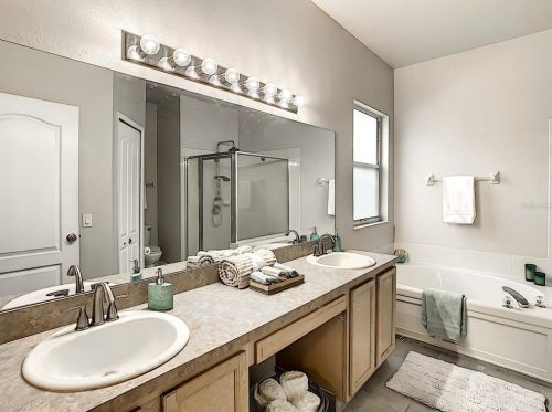 22638 Marsh Wren Dr, Land O Lakes FL  34639-6431 exterior