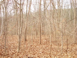 208 White Hollow Rd, Northford, CT 06472-1223