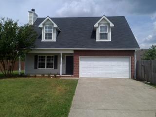 1607 Lisburn Dr, Murfreesboro TN  37128-5013 exterior