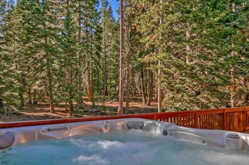 13641 Pathway Ave, Truckee, CA 96161-6225