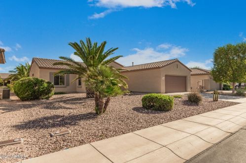 21339 Black Bear Lodge Dr, Sun City AZ  85387-8203 exterior