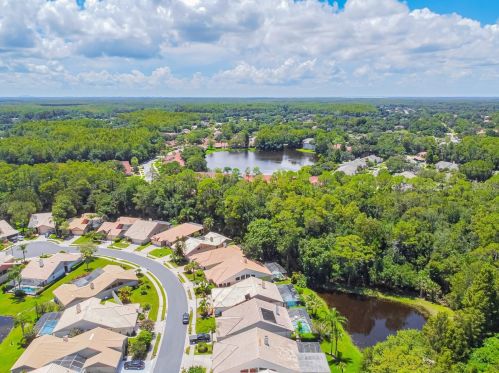 3664 Darston St, Palm Harbor FL  34685-1182 exterior