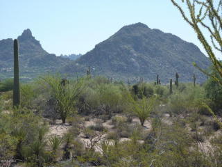 27830 91st St, Scottsdale, AZ 85262-4808