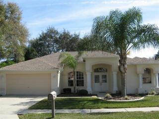 13418 Amberwood St, Port Richey, FL 34669-2400