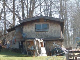 106 Eldred Rd, Patent, NY 13348-2024