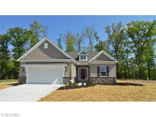4003 Stonegate Dr, Medina, OH 44256-0056