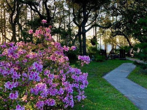 211 Bayshore Dr, Saint George Island FL  32328-3365 exterior