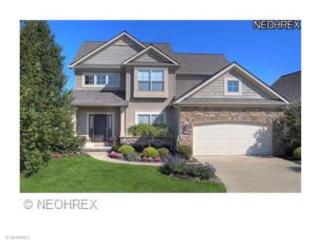 4242 Saint Annes Ct, Avon, OH 44011-2784