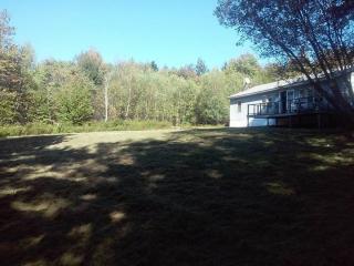 898 Cooley Rd, Parksville, NY 12768-5307