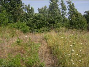 421 Berry Ridge Rd, Jonesborough, TN 37659-5462
