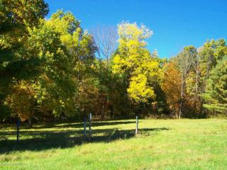 63 Clinton Dr, Factoryville, PA 18419-2607