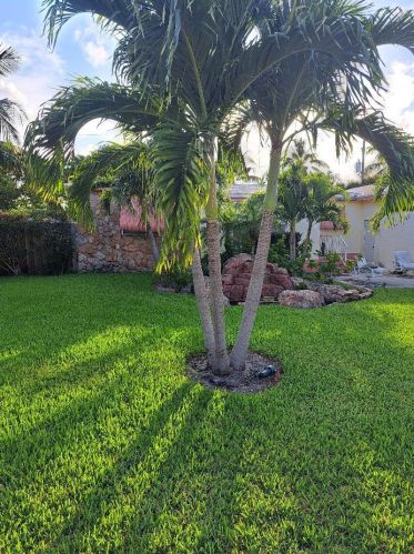1020 Sunset Ave, Delray Beach, FL 33444-2234