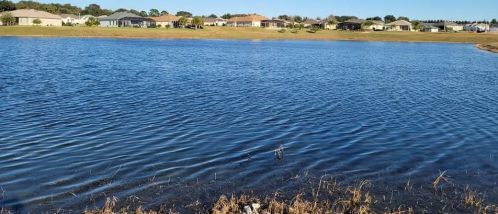 17163 110th Court Rd, Summerfield, FL 34491-1878