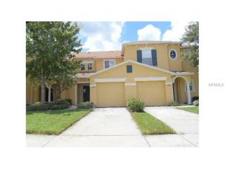 10823 Johanna Ave, Riverview, FL 33578-4416