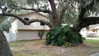 3621 Woodhill Dr, Brandon, FL 33511-7835