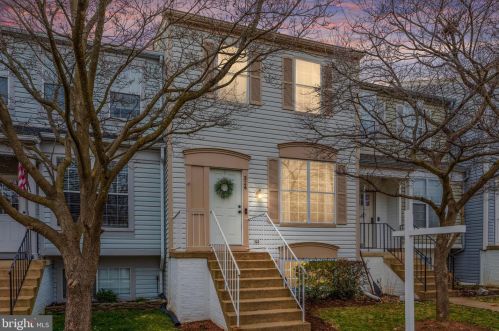 324 Coltsridge Ter, Leesburg, VA 20176-4844
