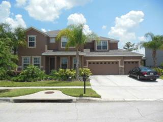 17314 Cypress Preserve Pkwy, Orlando FL  32820-2756 exterior