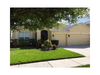 611 Tanana Fall Dr, Ruskin, FL 33570-6362