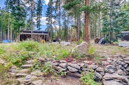 31674 Black Widow Way, Conifer CO  80433-9610 exterior