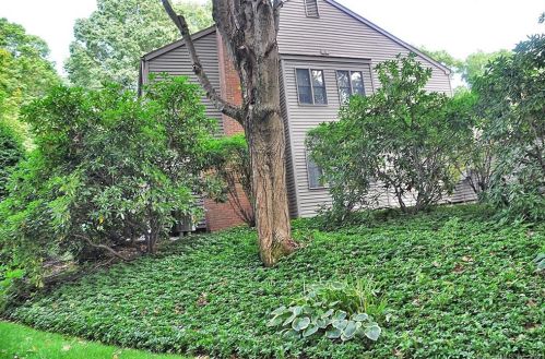 1 Lambert Cmn, Wilton, CT 06897-4537