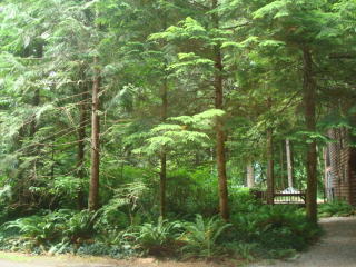 7077 Rainier Way, Glacier, WA 98244-9716