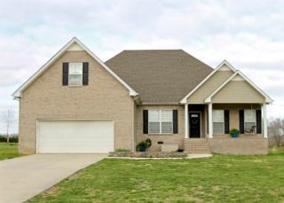 29 May Anne Ln, Manchester, TN 37355-6871