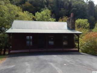 1940 Creek Hollow Way, Pigeon Forge, TN 37876-6875