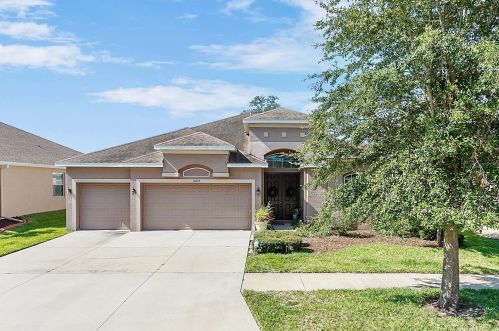 10225 Holland Rd, Riverview, FL 33578-7613