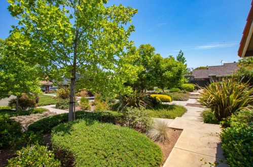 5682 Hollyleaf Ln, San Jose, CA 95118-3527