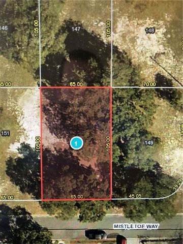 14223 Mistletoe Way, Astatula, FL 34705