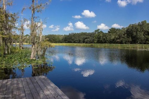 351 Sequoia Dr, Ocklawaha, FL 32179-4384