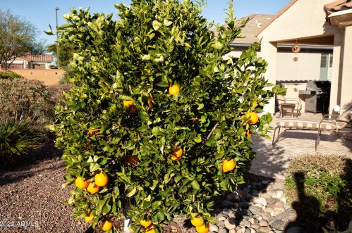 26541 Ross Ave, Buckeye AZ 85396-9212 exterior