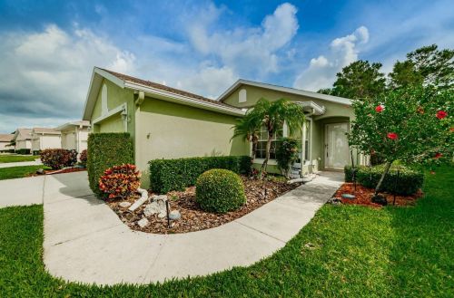 2449 Pleasant Hill Ln, Tarpon Springs, FL 34691-8776