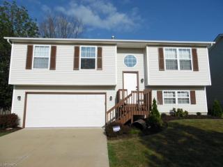 380 Abbeyville Rd, Medina, OH 44256-3925